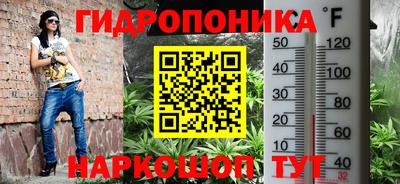 гидропоника Кулебаки